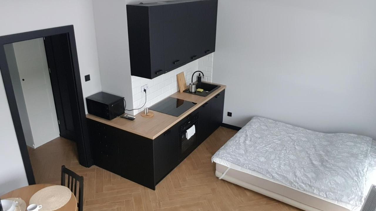 Apartament Zamkowy Lublin Kültér fotó